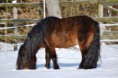 /album/timo/a2012-02-04-219-timo-jpg/